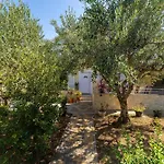 My Dalmatia - Olive Garden With Private Swimming Pool Ladevci