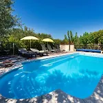 My Dalmatia - Olive Garden With Private Swimming Pool Holiday home *