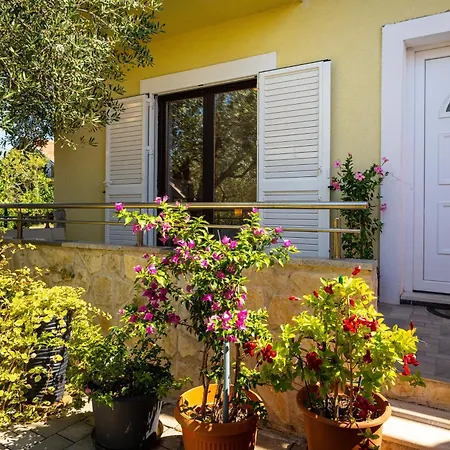 My Dalmatia - Olive Garden With Private Swimming Pool Ladevci