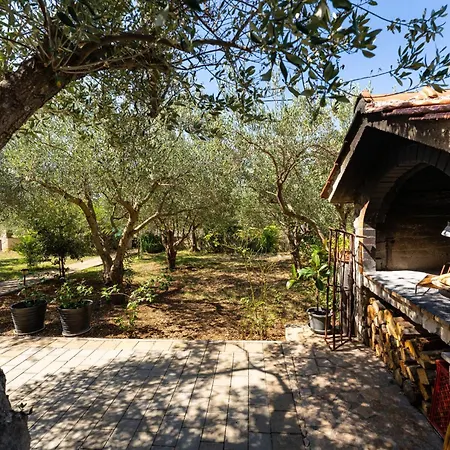 Дом отдыха My Dalmatia - Olive Garden With Private Swimming Pool Ladevci