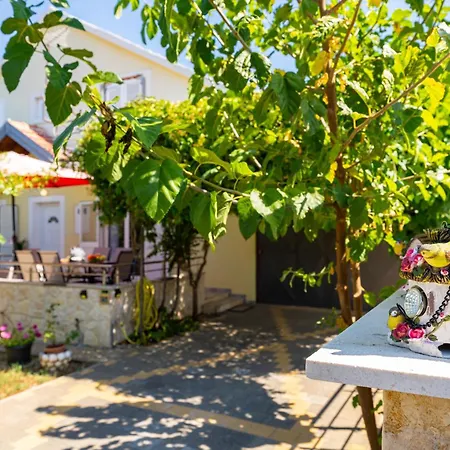 My Dalmatia - Olive Garden With Private Swimming Pool Ladevci