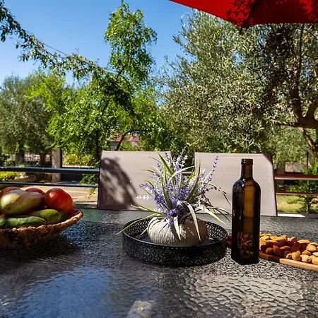 My Dalmatia - Olive Garden With Private Swimming Pool Дом отдыха *
