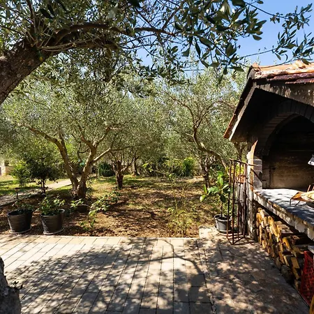 My Dalmatia - Olive Garden With Private Swimming Pool * Ladevci