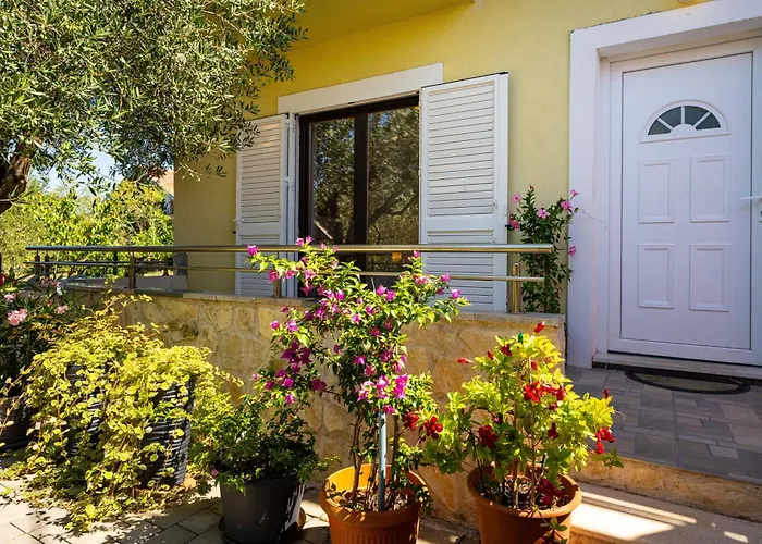 My Dalmatia - Olive Garden With Private Swimming Pool Ladevci