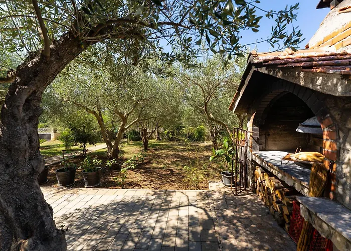 Vakantiehuis My Dalmatia - Olive Garden With Private Swimming Pool Ladevci
