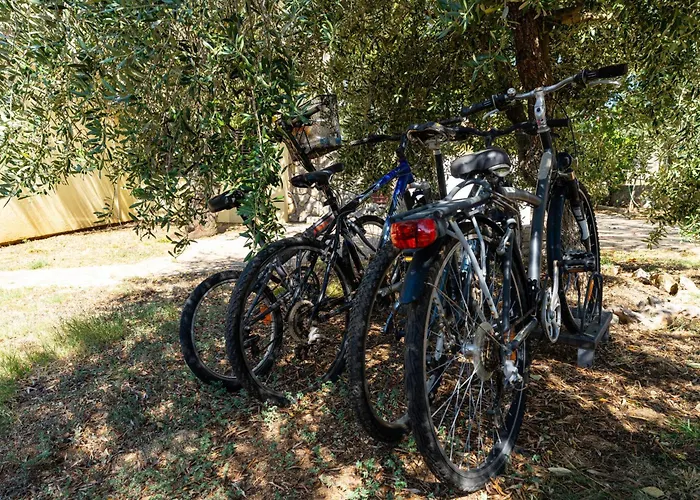 My Dalmatia - Olive Garden With Private Swimming Pool Ladevci