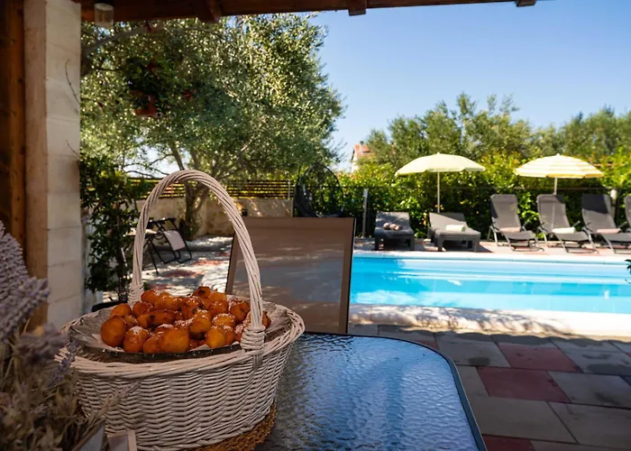 My Dalmatia - Olive Garden With Private Swimming Pool Vakantiehuis