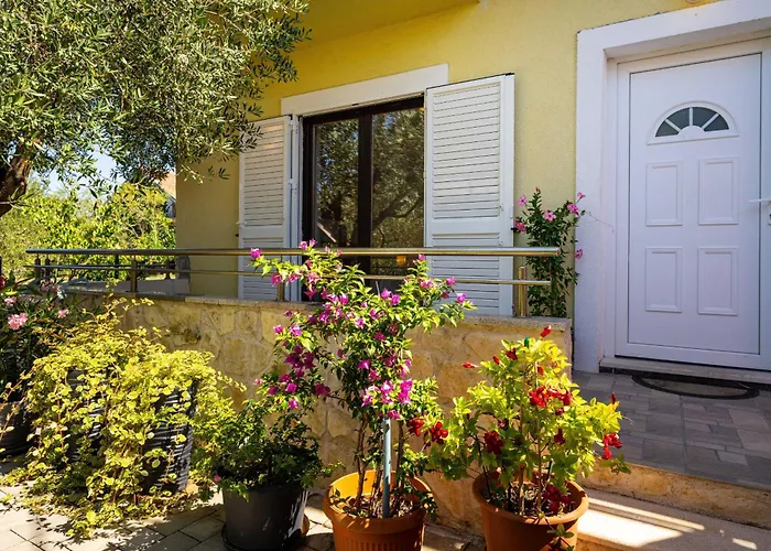 My Dalmatia - Olive Garden With Private Swimming Pool Vakantiehuis