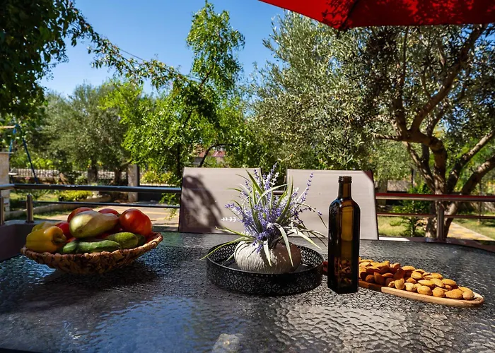 My Dalmatia - Olive Garden With Private Swimming Pool Vakantiehuis *